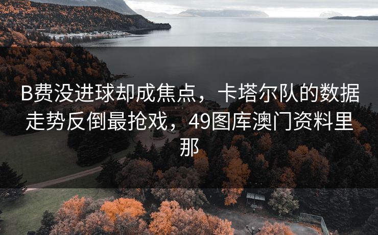 B费没进球却成焦点，卡塔尔队的数据走势反倒最抢戏，49图库澳门资料里那
