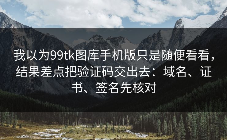 我以为99tk图库手机版只是随便看看，结果差点把验证码交出去：域名、证书、签名先核对