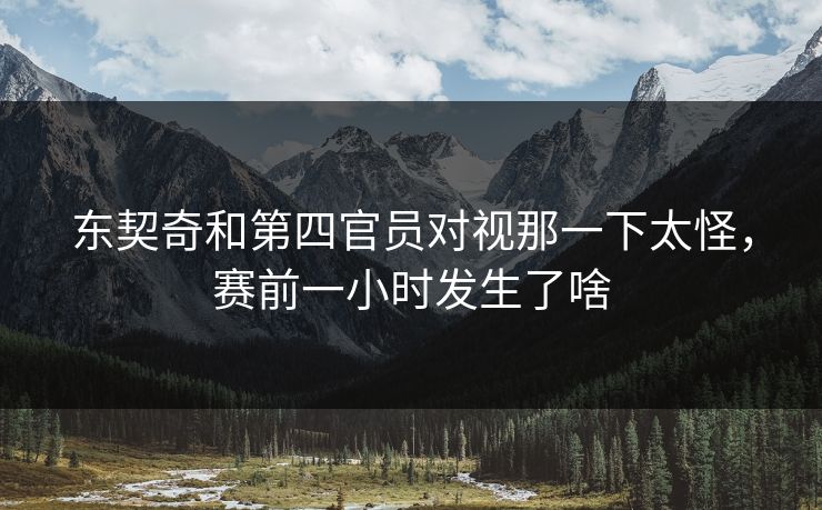 东契奇和第四官员对视那一下太怪，赛前一小时发生了啥
