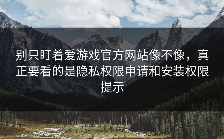 别只盯着爱游戏官方网站像不像，真正要看的是隐私权限申请和安装权限提示