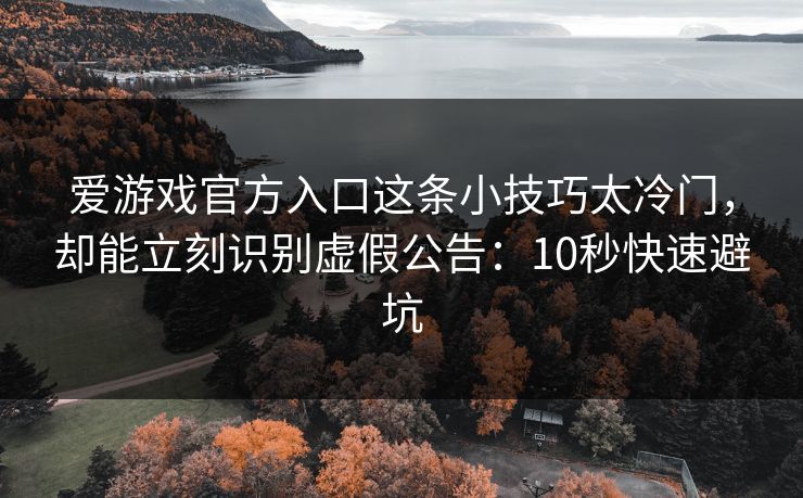 爱游戏官方入口这条小技巧太冷门，却能立刻识别虚假公告：10秒快速避坑