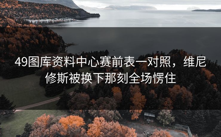 49图库资料中心赛前表一对照，维尼修斯被换下那刻全场愣住