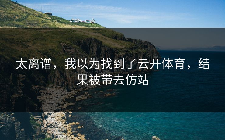 太离谱，我以为找到了云开体育，结果被带去仿站